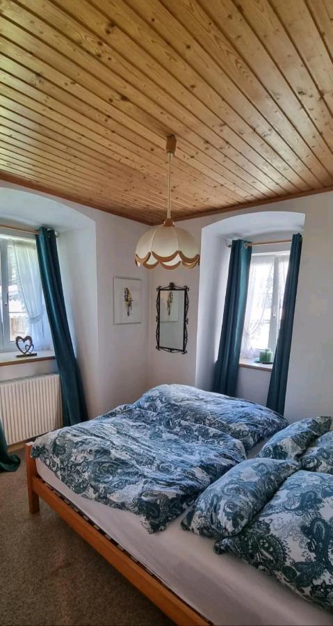 Turmhaus Trieben Wohnung 1 Экстерьер фото